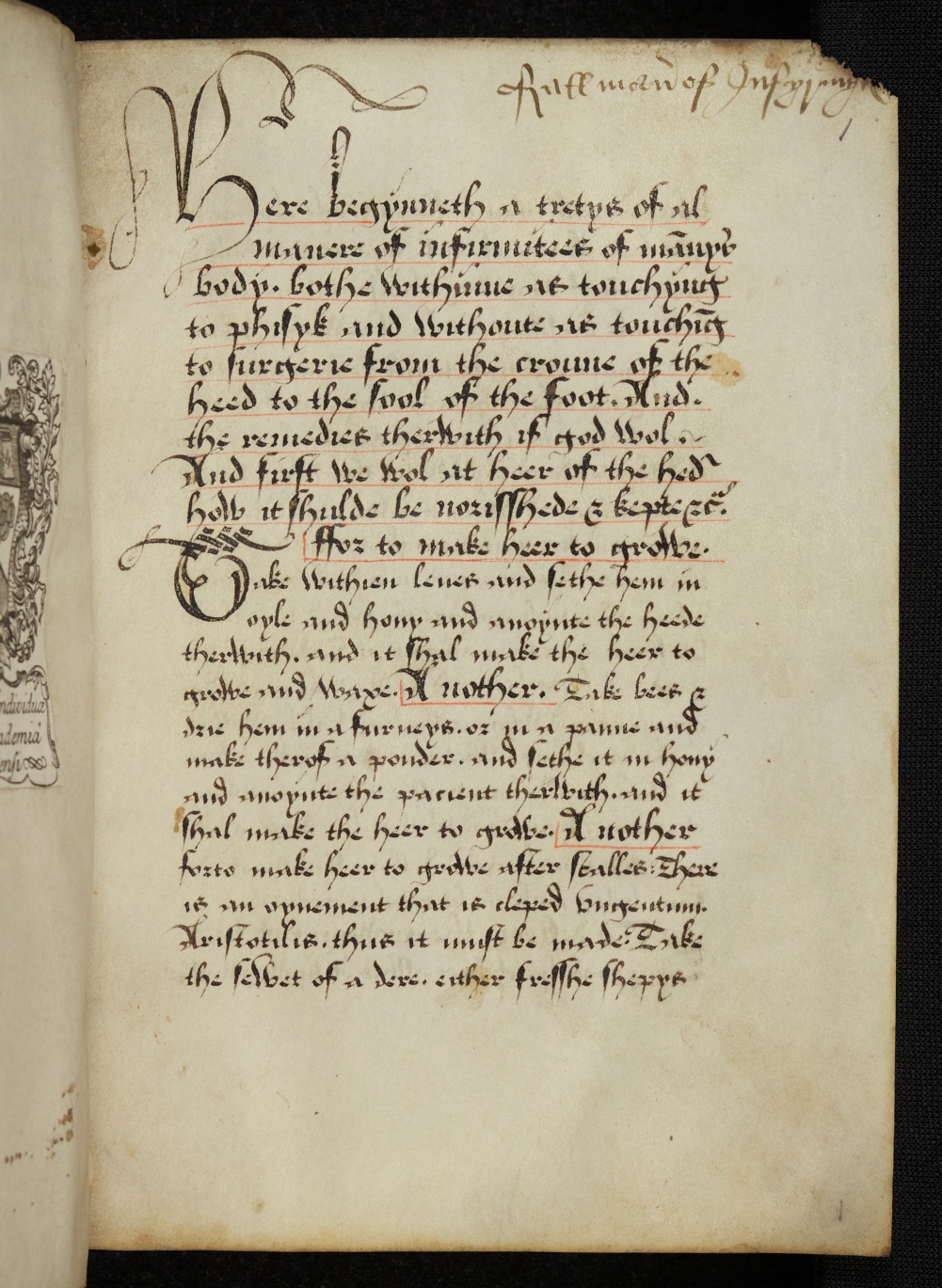 First page of TCC MS O.8.35, which contains the incipit &ldquo;Here begynnyth a tretys of al maner of infirmitees&rdquo;